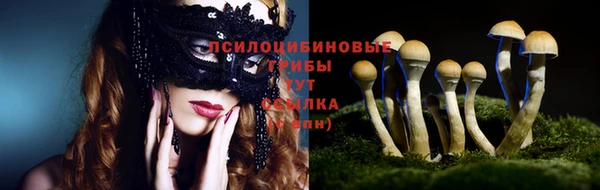 амф Аркадак