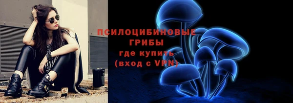 амф Аркадак