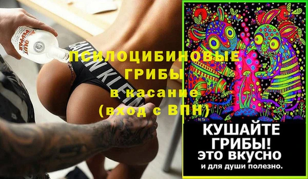 амф Аркадак