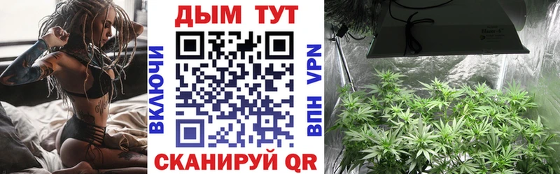 цены   Островной  Бошки марихуана индика 